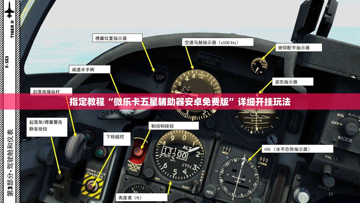 指定教程“微乐卡五星辅助器安卓免费版”详细开挂玩法