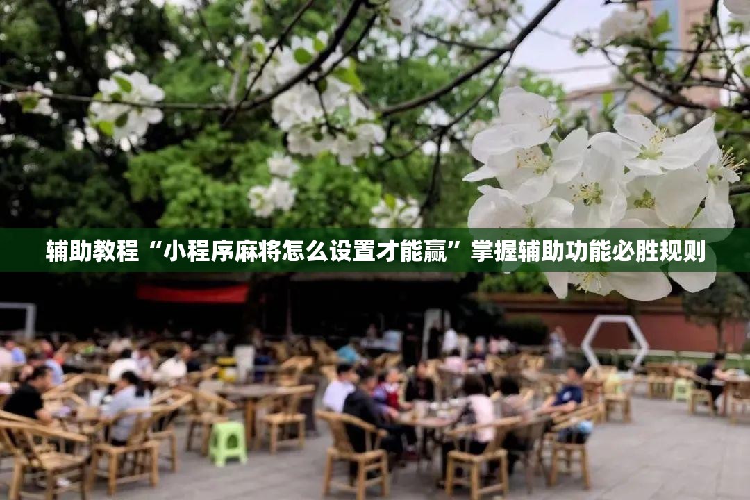 辅助教程“小程序麻将怎么设置才能赢”掌握辅助功能必胜规则