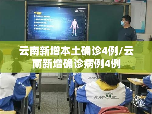 云南新增本土确诊4例/云南新增确诊病例4例