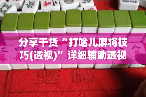 分享干货“打哈儿麻将技巧(透视)”详细辅助透视