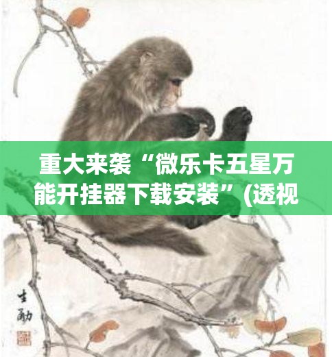 重大来袭“微乐卡五星万能开挂器下载安装”(透视挂)辅助透视教程