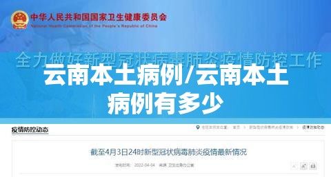 云南本土病例/云南本土病例有多少