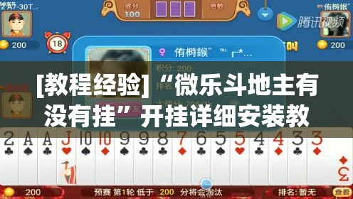 [教程经验]“微乐斗地主有没有挂”开挂详细安装教程