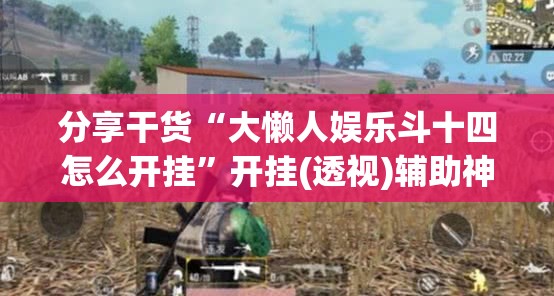 分享干货“大懒人娱乐斗十四怎么开挂”开挂(透视)辅助神器 分享干货“大懒人娱乐斗十四怎么开挂”开挂(透视)辅助神器
