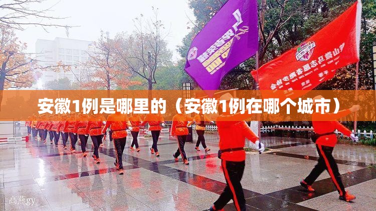 安徽1例是哪里的（安徽1例在哪个城市）
