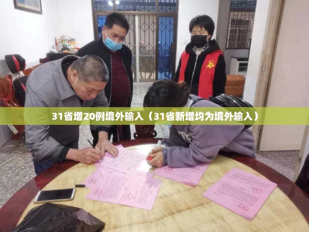 31省增20例境外输入(31省新增均为境外输入) 31省增20例境外输入(31省新增均为境外输入)