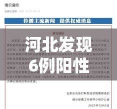 河北发现6例阳性均是学生(河北患者检出阳性仅5天病亡) 河北发现6例阳性均是学生(河北患者检出阳性仅5天病亡)