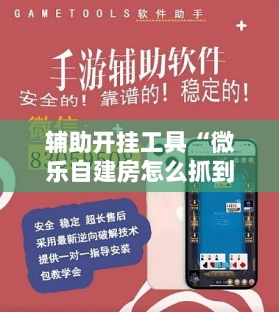 辅助开挂工具“微乐自建房怎么抓到好牌!辅助神器插件下载