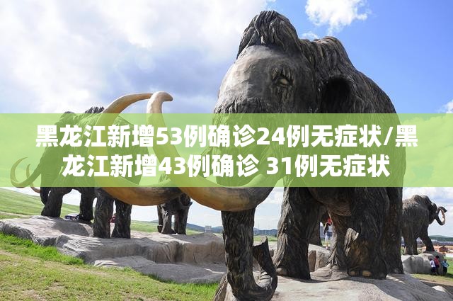 黑龙江新增53例确诊24例无症状/黑龙江新增43例确诊 31例无症状