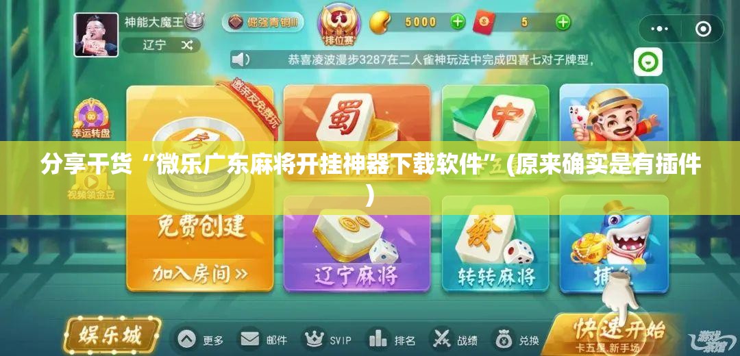 分享干货“微乐广东麻将开挂神器下载软件”(原来确实是有插件)
