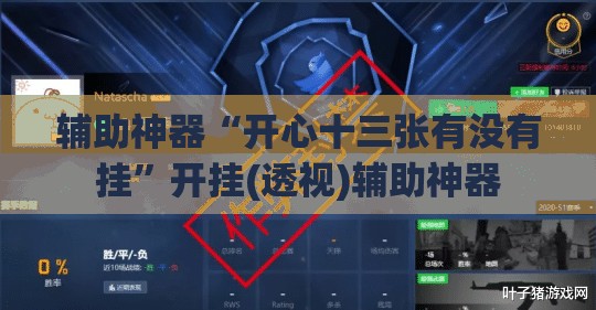 辅助神器“开心十三张有没有挂”开挂(透视)辅助神器 辅助神器“开心十三张有没有挂”开挂(透视)辅助神器