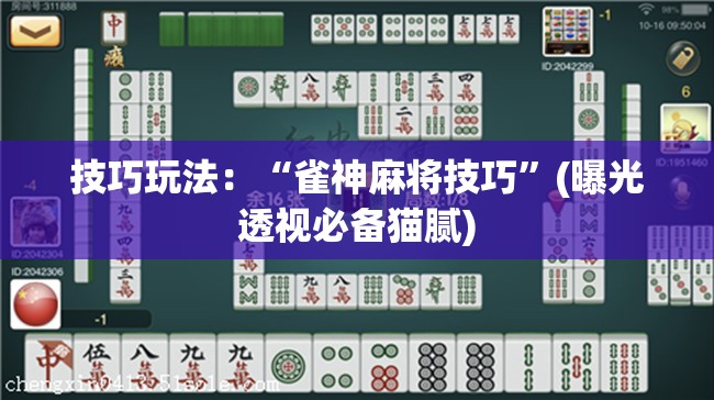 技巧玩法:“雀神麻将技巧”(曝光透视必备猫腻) 技巧玩法:“雀神麻将技巧”(曝光透视必备猫腻)