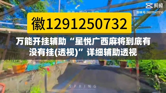 万能开挂辅助“星悦广西麻将到底有没有挂(透视)”详细辅助透视