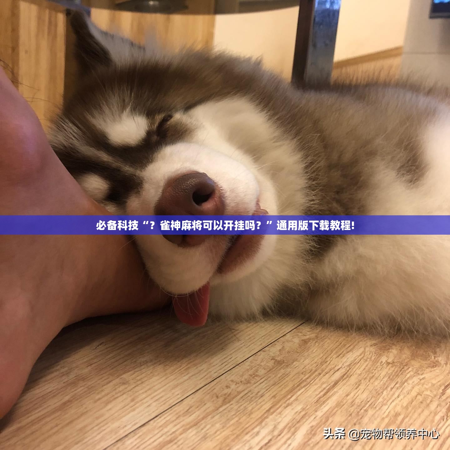 必备科技“？雀神麻将可以开挂吗？”通用版下载教程!