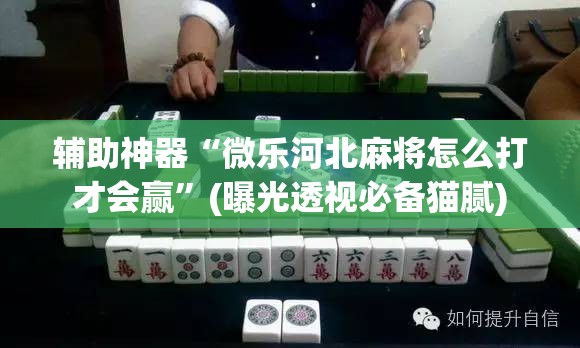 辅助神器“微乐河北麻将怎么打才会赢”(曝光透视必备猫腻) 辅助神器“微乐河北麻将怎么打才会赢”(曝光透视必备猫腻)