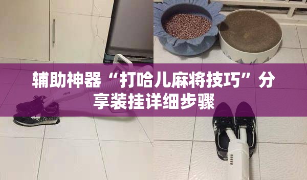 辅助神器“打哈儿麻将技巧”分享装挂详细步骤 辅助神器“打哈儿麻将技巧”分享装挂详细步骤