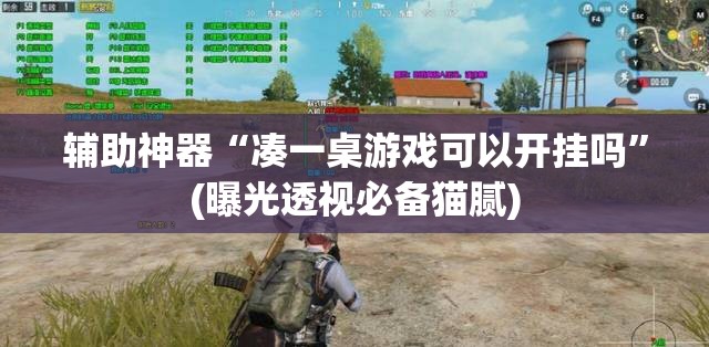 辅助神器“凑一桌游戏可以开挂吗”(曝光透视必备猫腻)