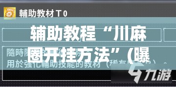 辅助教程“川麻圈开挂方法”(曝光透视必备猫腻)