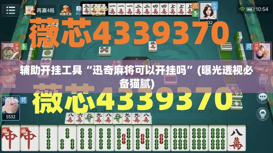 辅助开挂工具“迅奇麻将可以开挂吗”(曝光透视必备猫腻) 辅助开挂工具“迅奇麻将可以开挂吗”(曝光透视必备猫腻)