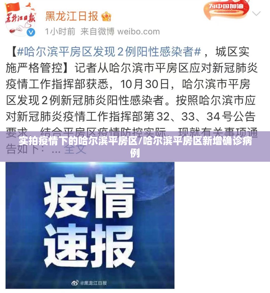 实拍疫情下的哈尔滨平房区/哈尔滨平房区新增确诊病例
