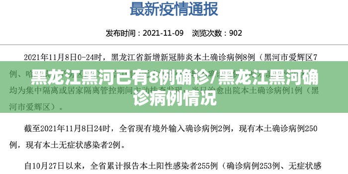 黑龙江黑河已有8例确诊/黑龙江黑河确诊病例情况