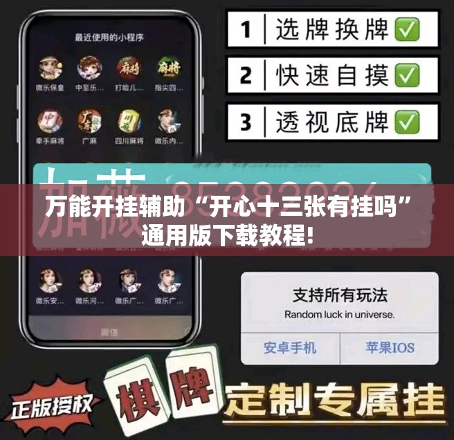 万能开挂辅助“开心十三张有挂吗”通用版下载教程!