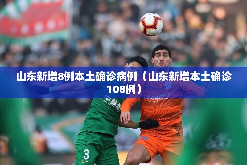 山东新增8例本土确诊病例（山东新增本土确诊108例）
