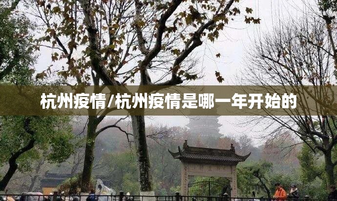 杭州疫情/杭州疫情是哪一年开始的