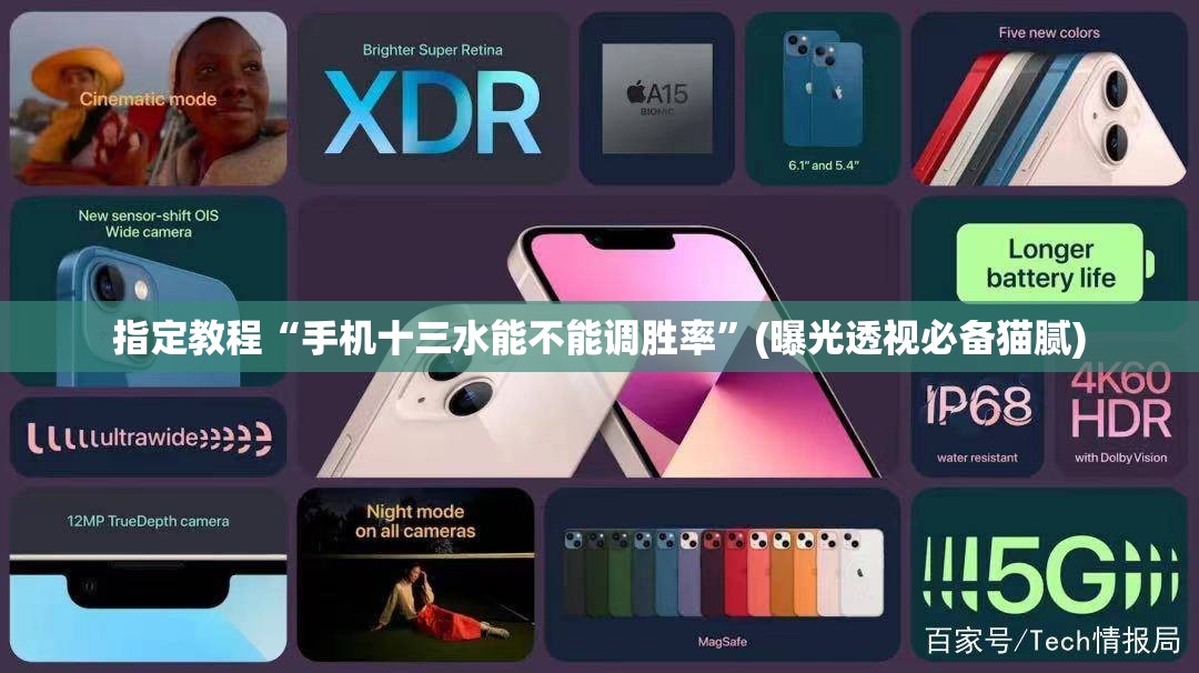 指定教程“手机十三水能不能调胜率”(曝光透视必备猫腻)