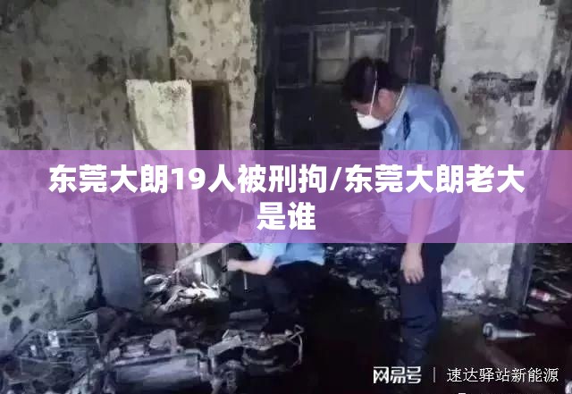 东莞大朗19人被刑拘/东莞大朗老大是谁