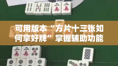 可用版本“方片十三张如何拿好牌”掌握辅助功能必胜规则