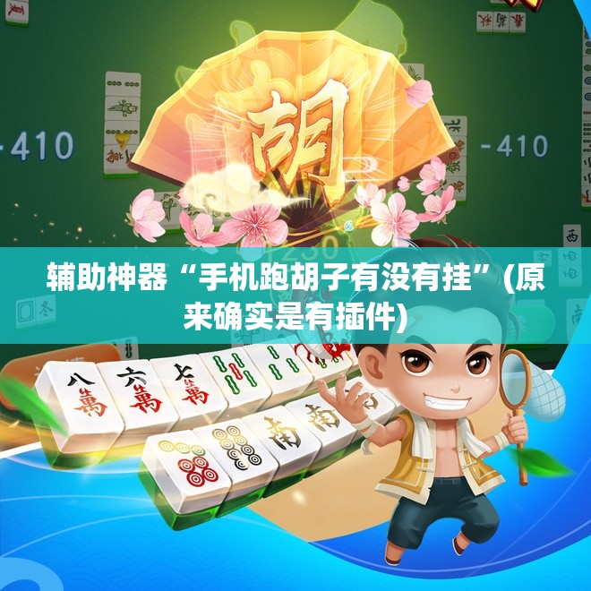 辅助神器“手机跑胡子有没有挂”(原来确实是有插件)