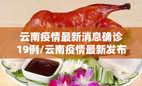 云南疫情最新消息确诊19例/云南疫情最新发布