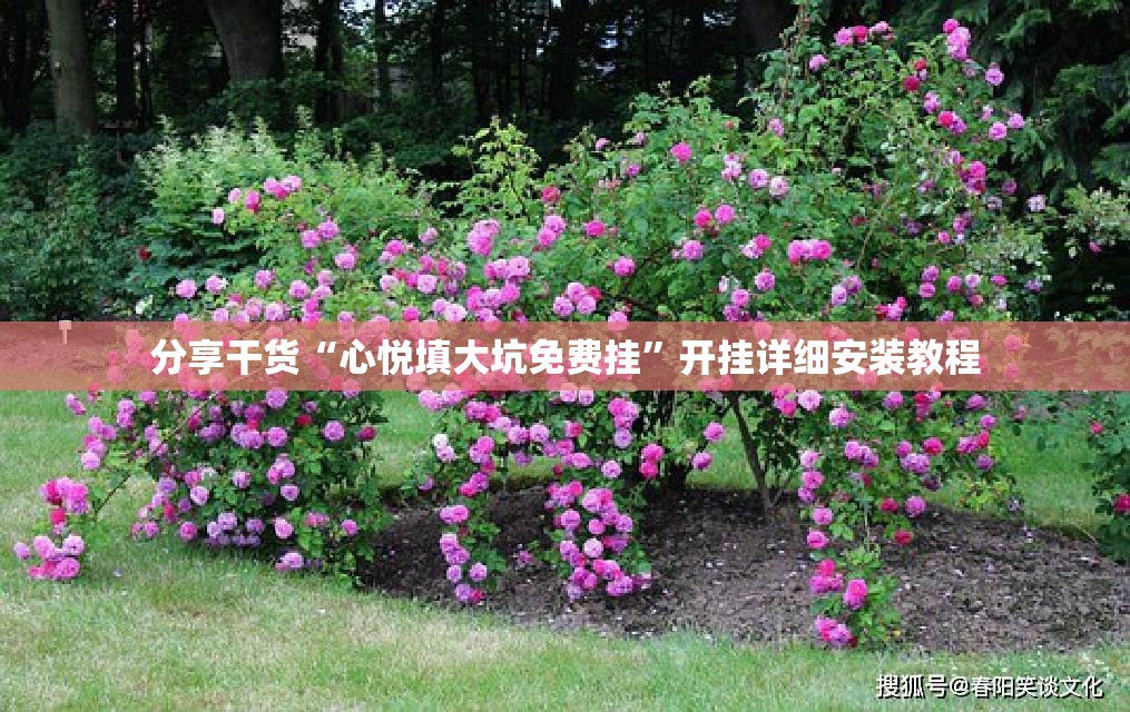 分享干货“心悦填大坑免费挂”开挂详细安装教程