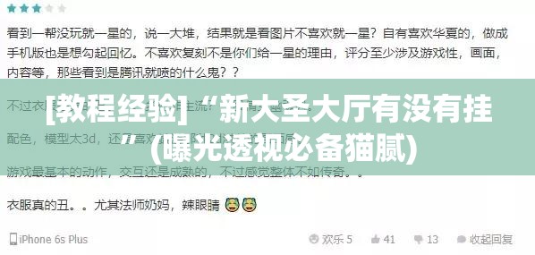 [教程经验]“新大圣大厅有没有挂”(曝光透视必备猫腻)