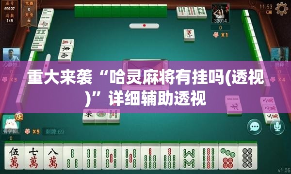 重大来袭“哈灵麻将有挂吗(透视)”详细辅助透视