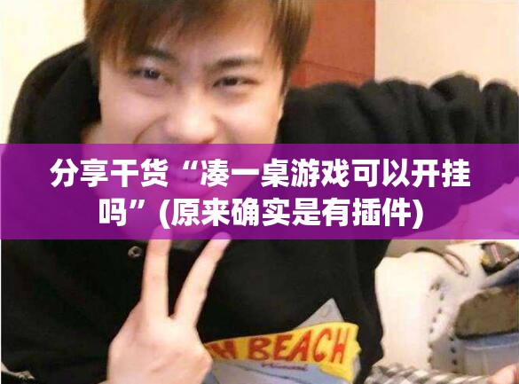 分享干货“凑一桌游戏可以开挂吗”(原来确实是有插件)