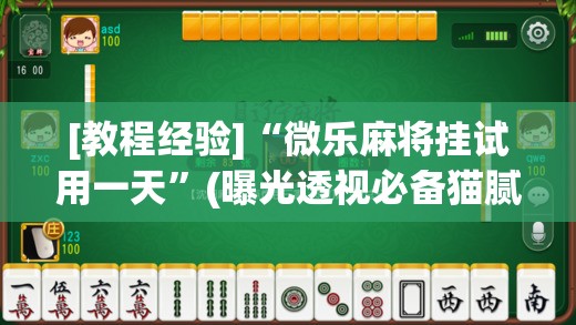 [教程经验]“微乐麻将挂试用一天”(曝光透视必备猫腻)