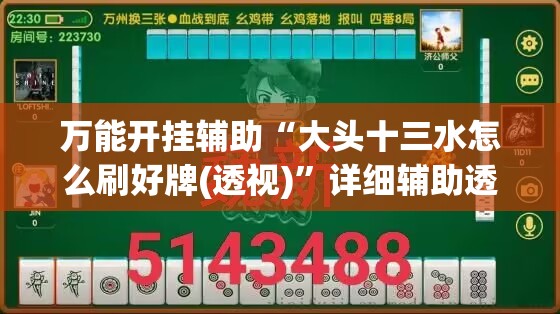 万能开挂辅助“大头十三水怎么刷好牌(透视)”详细辅助透视
