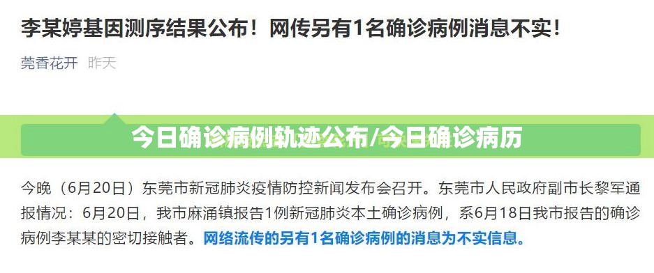 今日确诊病例轨迹公布/今日确诊病历