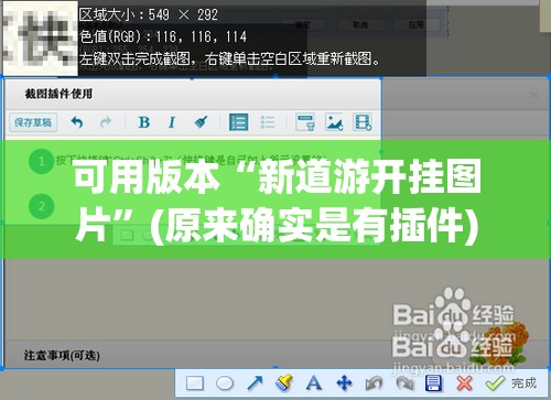 可用版本“新道游开挂图片”(原来确实是有插件)