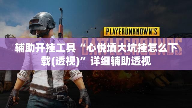 辅助开挂工具“心悦填大坑挂怎么下载(透视)”详细辅助透视
