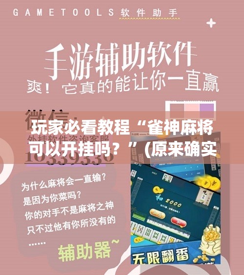 玩家必看教程“雀神麻将可以开挂吗？”(原来确实是有插件)
