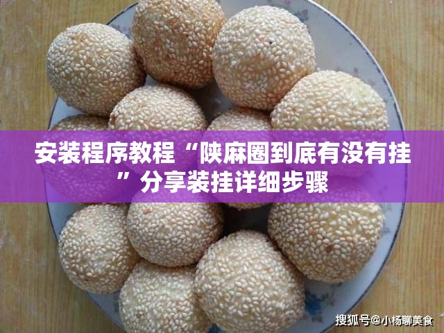 安装程序教程“陕麻圈到底有没有挂”分享装挂详细步骤