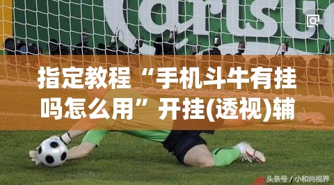 指定教程“手机斗牛有挂吗怎么用”开挂(透视)辅助神器