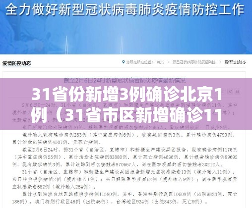 31省份新增3例确诊北京1例（31省市区新增确诊11例本土6例均在北京,境外输入5例）