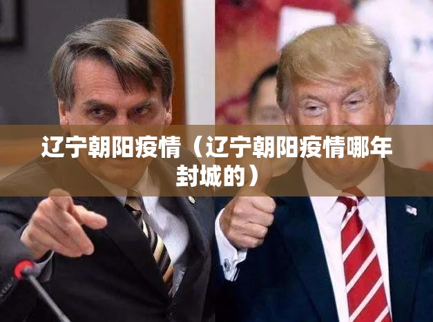 辽宁朝阳疫情（辽宁朝阳疫情哪年封城的）