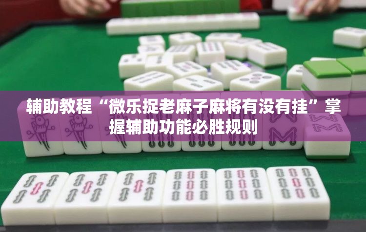 辅助教程“微乐捉老麻子麻将有没有挂”掌握辅助功能必胜规则