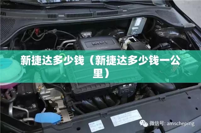 新捷达多少钱（新捷达多少钱一公里）