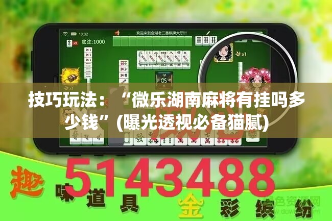 技巧玩法：“微乐湖南麻将有挂吗多少钱”(曝光透视必备猫腻)